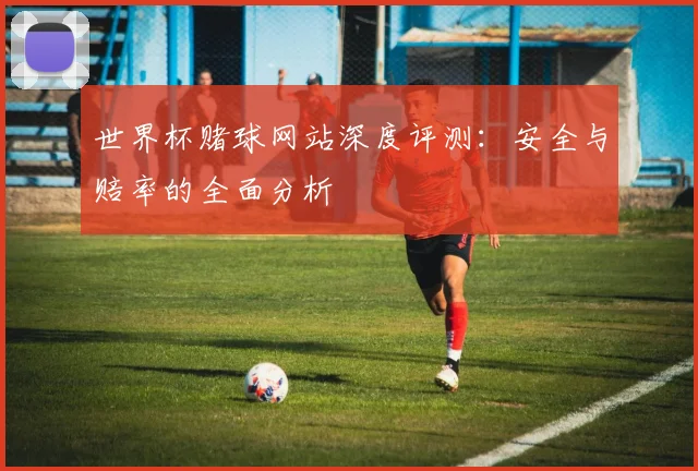 世界杯赌球网站深度评测:安全与赔率的全面分析