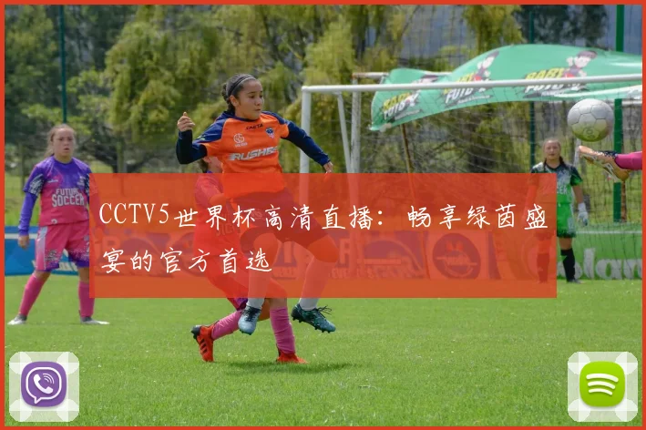 CCTV5世界杯高清直播：畅享绿茵盛宴的官方首选