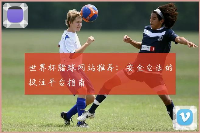 世界杯赌球网站推荐:安全合法的投注平台指南