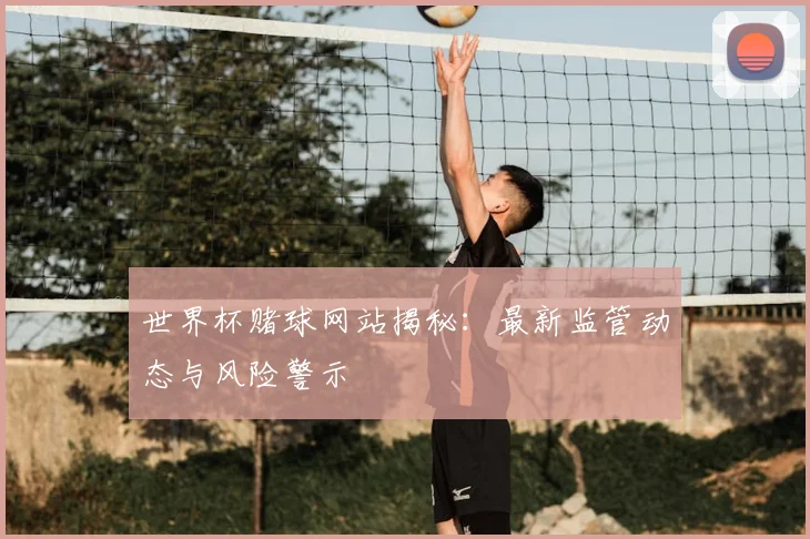 世界杯赌球网站揭秘：最新监管动态与风险警示