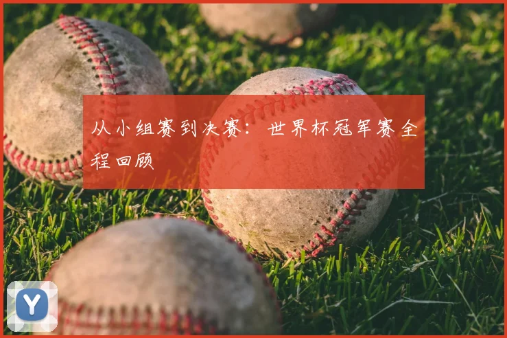 从小组赛到决赛:世界杯冠军赛全程回顾