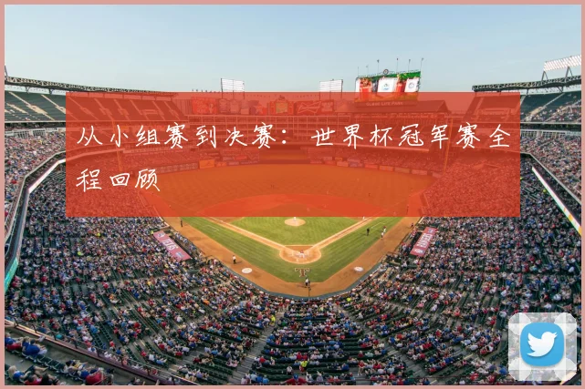 从小组赛到决赛:世界杯冠军赛全程回顾