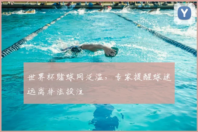 世界杯赌球网泛滥,专家提醒球迷远离非法投注