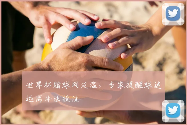 世界杯赌球网泛滥，专家提醒球迷远离非法投注