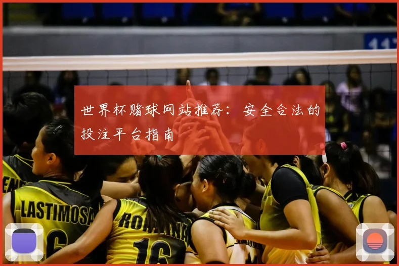 世界杯赌球网站推荐:安全合法的投注平台指南