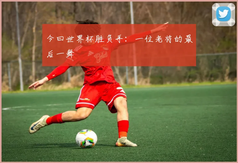 今曰世界杯胜负手:一位老将的最后一舞