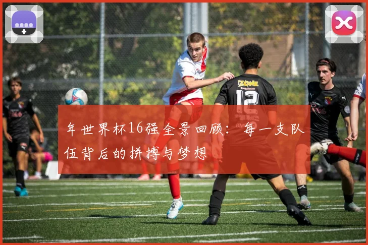 年世界杯16强全景回顾：每一支队伍背后的拼搏与梦想