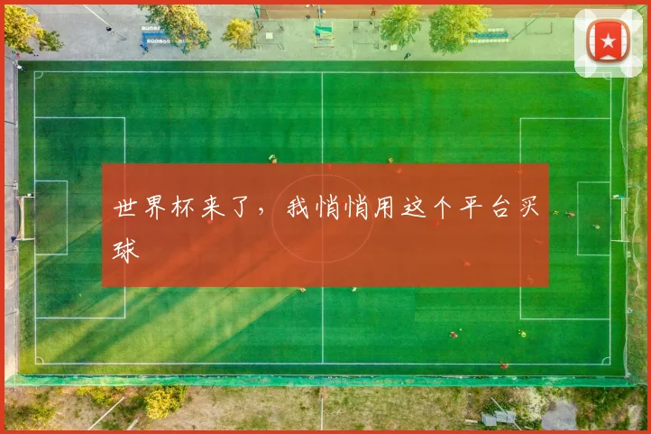 世界杯来了,我悄悄用这个平台买球